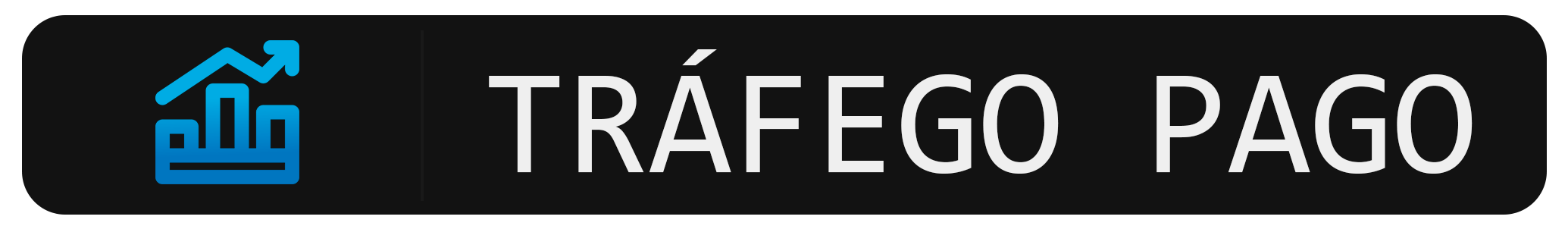 GESTOR DE TRÁFEGO PAGO